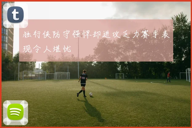 独行侠防守强悍却进攻乏力赛季表现令人堪忧