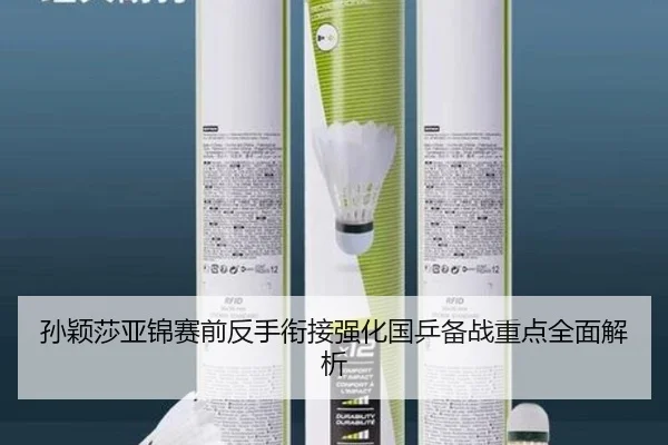 孙颖莎亚锦赛前反手衔接强化国乒备战重点全面解析（qyg）